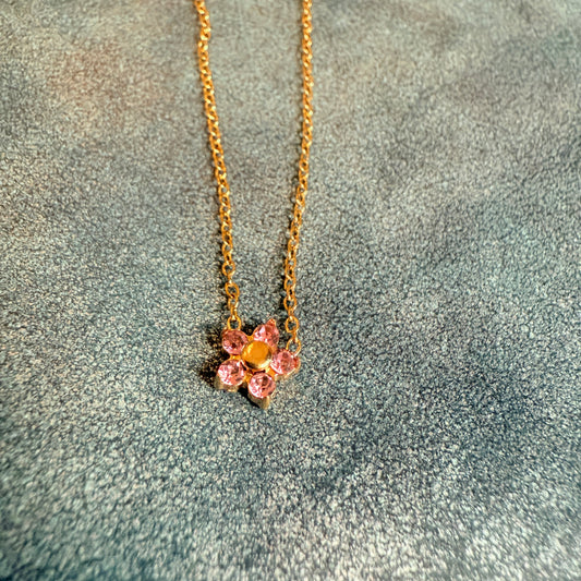 607 “LILI” Collar rosa